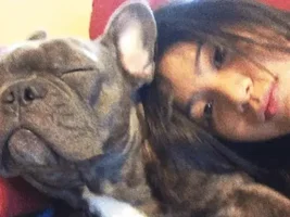4 Paw Members!  VOTE NOW!!  September Frenchie-tude Contest!