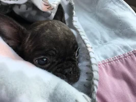 Do You Have That Very First Time Photo?