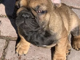 New member