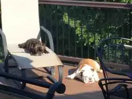 Sunbathing babies