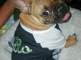 Banksy in his new t-shirt!
