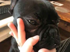 watering eyes?