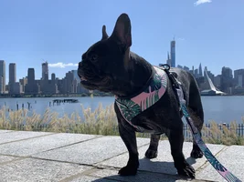 My little model!