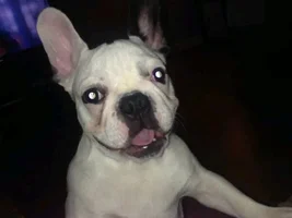 Smiles