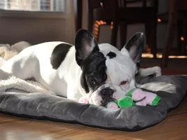 Can't a boy get some sleep around here?!