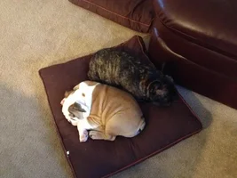 Boys sharing space