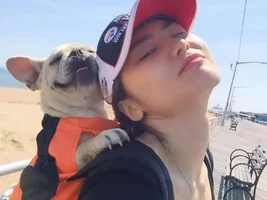 ~ENTER HERE~ Mother's Day Contest ~ May Frenchie of the Month