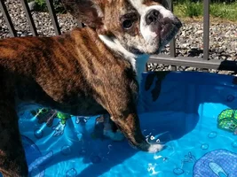 Buster Keeps His Cool!