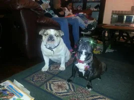 Man.im so sorry so much people was worried about the post of max and pepper die but I lost my phone