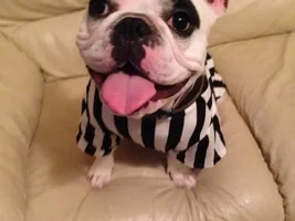 Halloween Costumes 2014