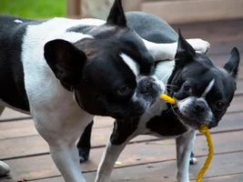 Play time!