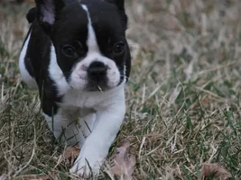 more Olivia & Wilson pics