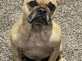 Rusty’s UPDATE on MRI