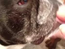 Red Teary Eye - Should I be concerned