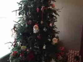 Share your Christmas decorations