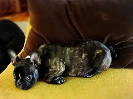 Hello!