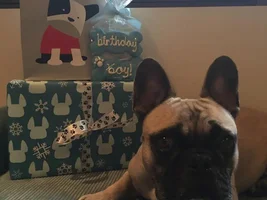 Jake is 4 today!