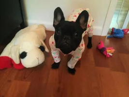 E in her PJ's