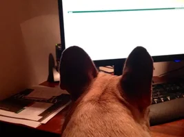 Jake checking out FBNF