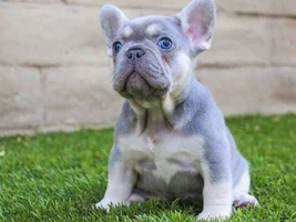 New Guy Here