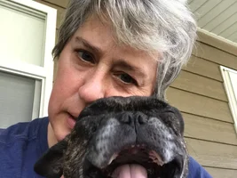 ~ENTER HERE~ September Frenchie of the Month "TOTALLY TONGUE TIED"