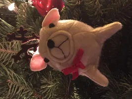 2016 - show off your  ornaments here!