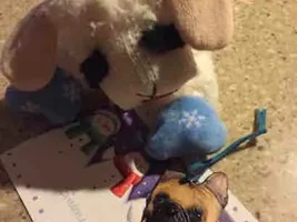 2015 Ornament Exchange Sharing Thread