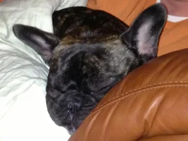 Sleeping positions........