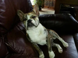 My Little Man!