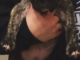 Monte and Reese updated pics