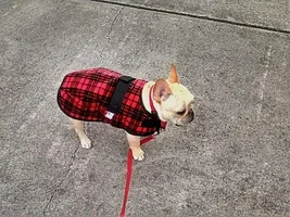 Cold weather's comin'......