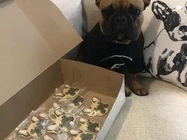 Frenchie Cookies
