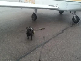 Little pilots