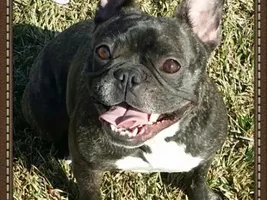 Sorry for the long post...looking for advice!