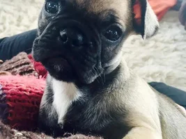 Ears were up and now they're down?