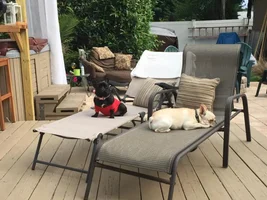 The lazy days of summer