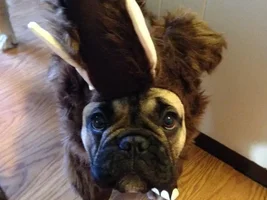Halloween Fun :)
