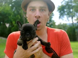 Famous People With Frenchies