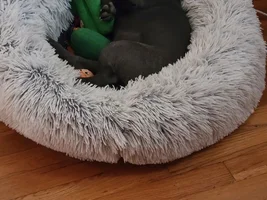 Nap time picture