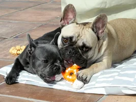 Learning to share