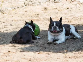 Wally and Uma on vacation