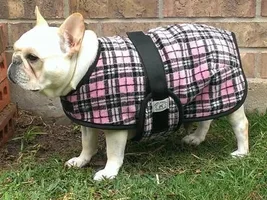 All ready for the cold weather