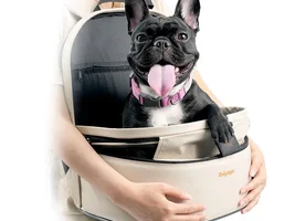 How is everyone flying with their Frenchies?