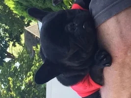 The lazy days of summer