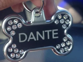 Identification Tags