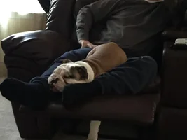 Silly Daddy...