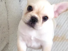 Hi everyone