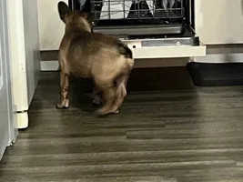 Lincoln is almost 5 months and into everything
