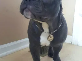 Yo, Homies! Check Out My New Bling Bling!