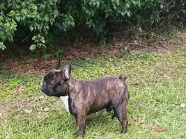 Hello everyone!